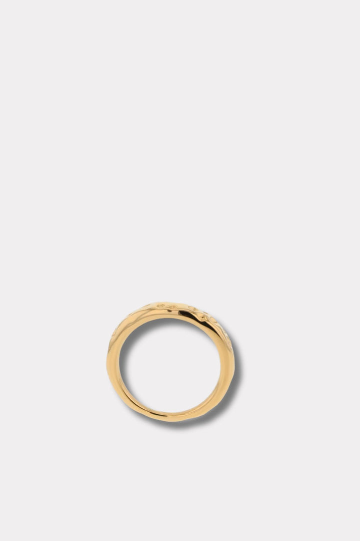 The Minimalist- Gold