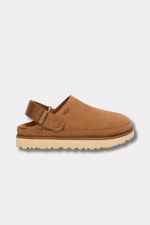 - Chestnut