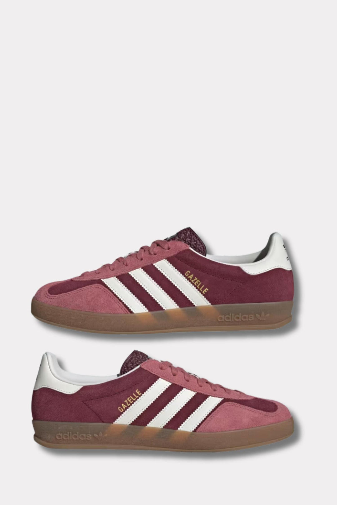 Gazelle Indoor - Maroon/ Cloud White/ Preloved Crimson