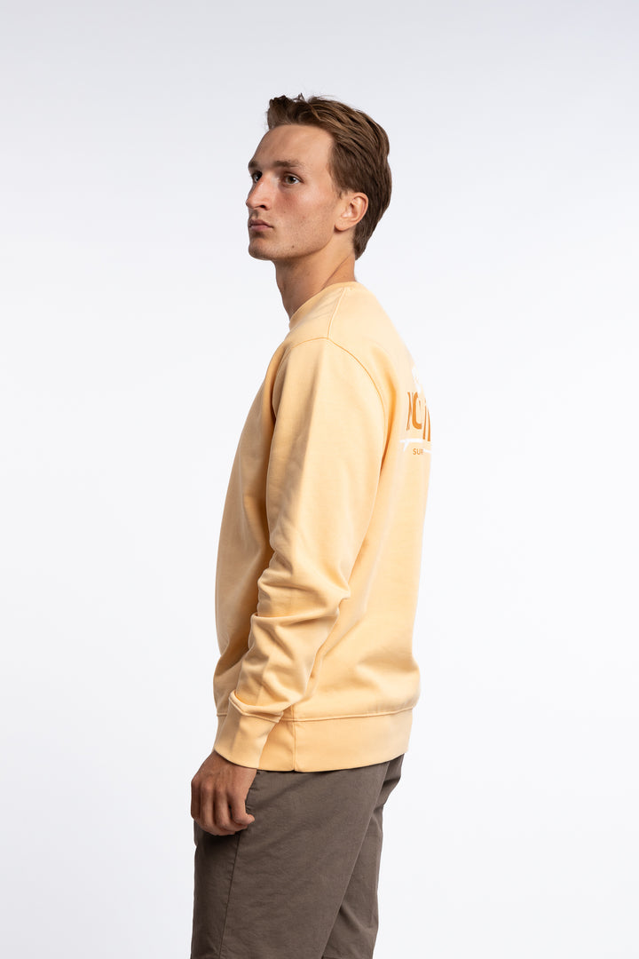 Surf Flower - Aprikos - Sweater