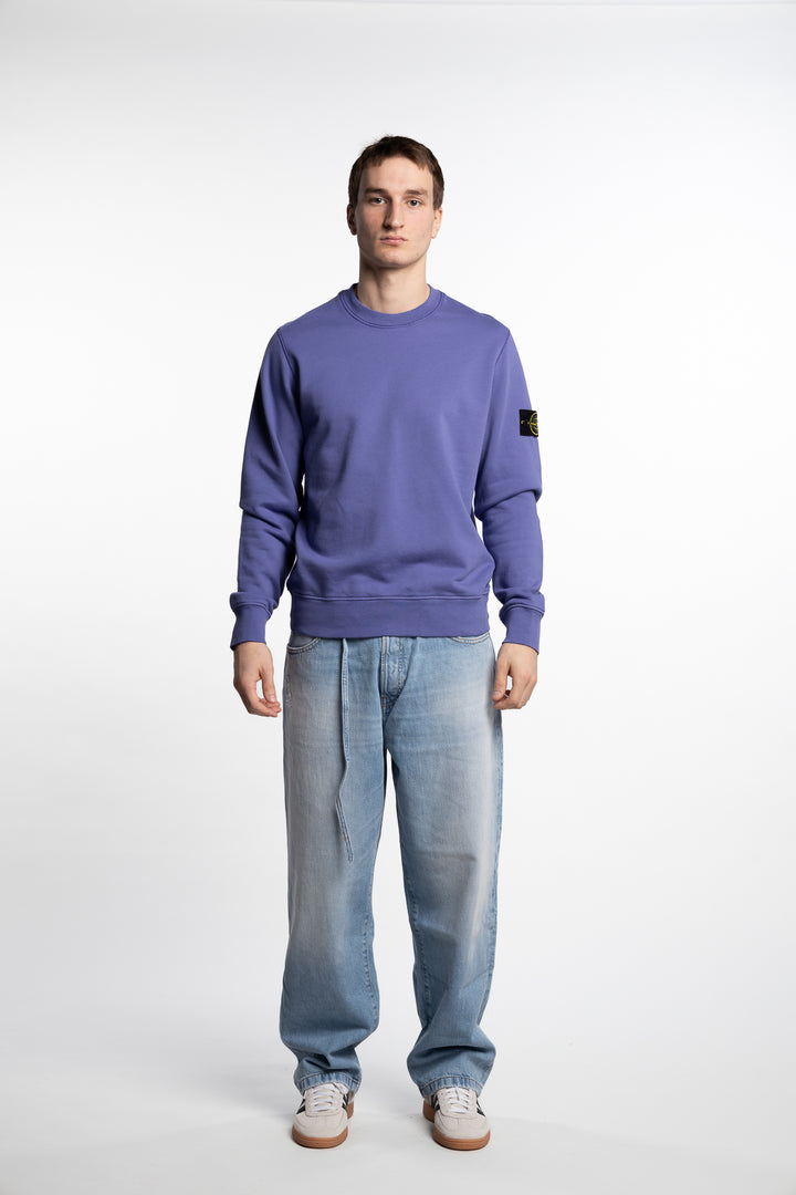 Garment Dyed Crewneck Sweatshirt Purple