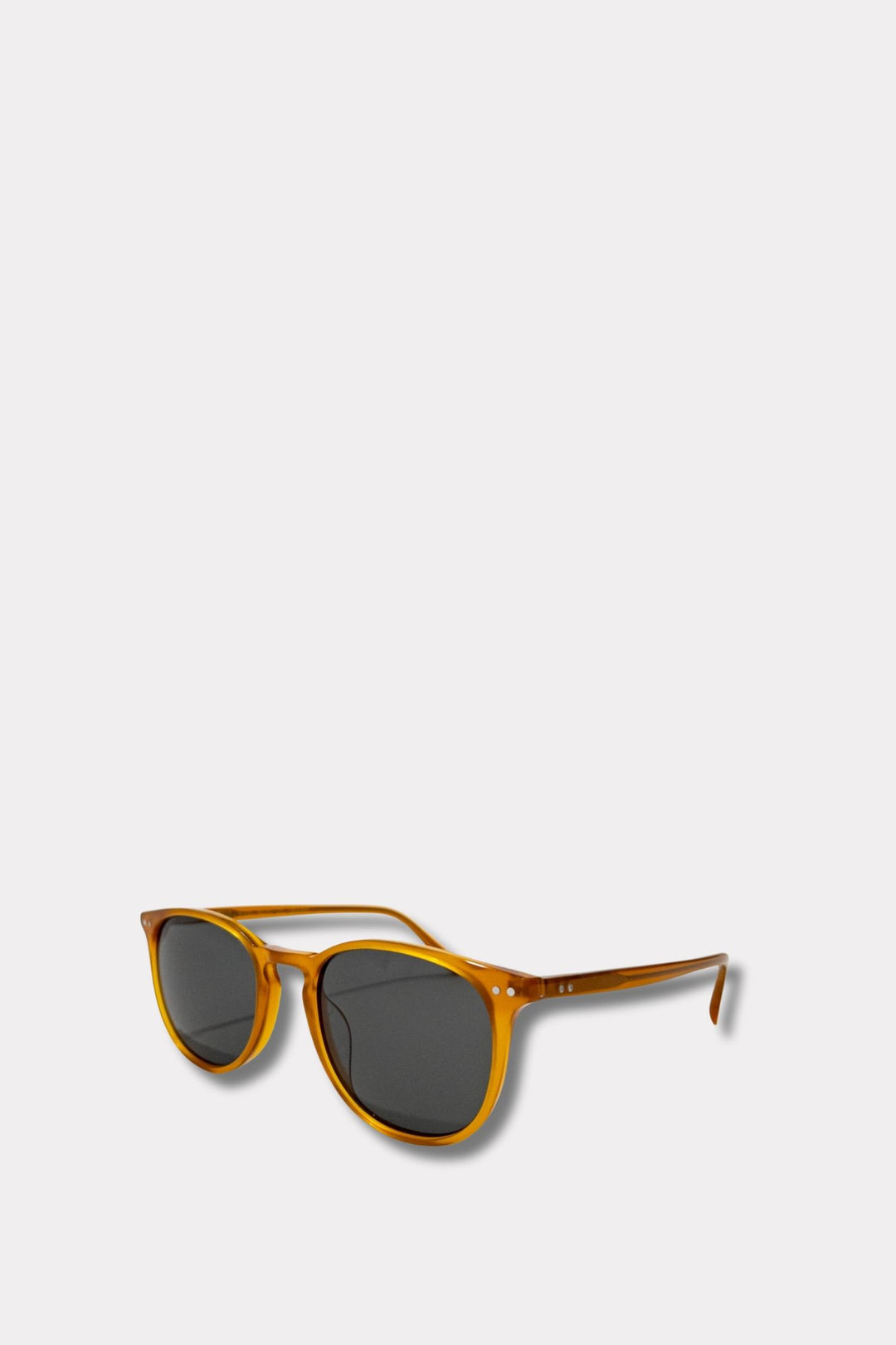 Foster L Aranci