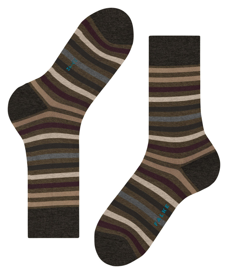 Tinted Stripe Beech